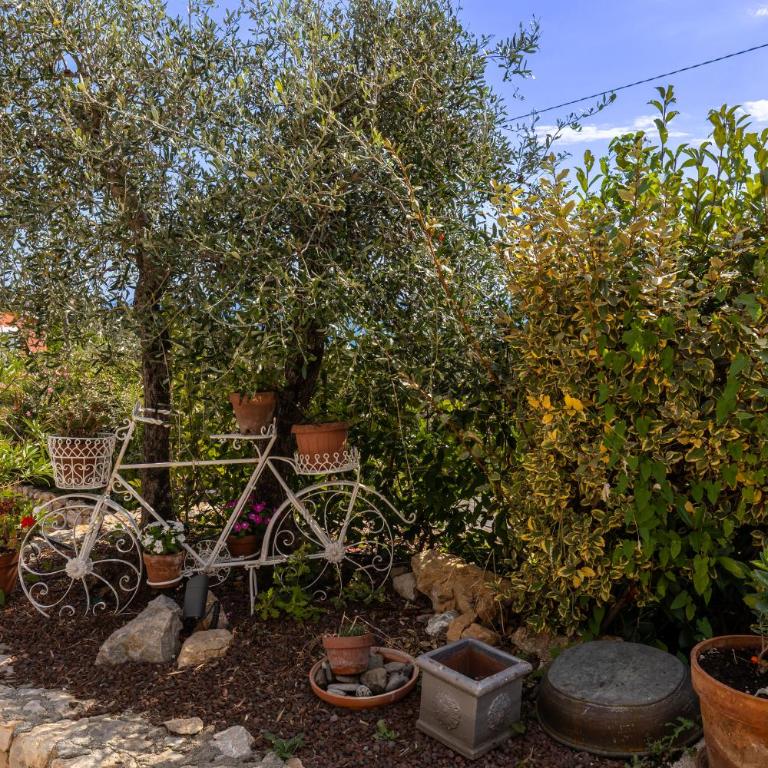 Villa Perla Vista - Villa - 93