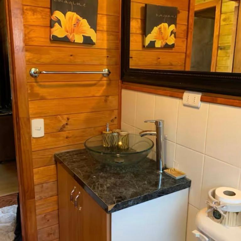 Cabaña Casa Victoria con Bosque,Río & Starlink Internet - Two-Bedroom House - 21