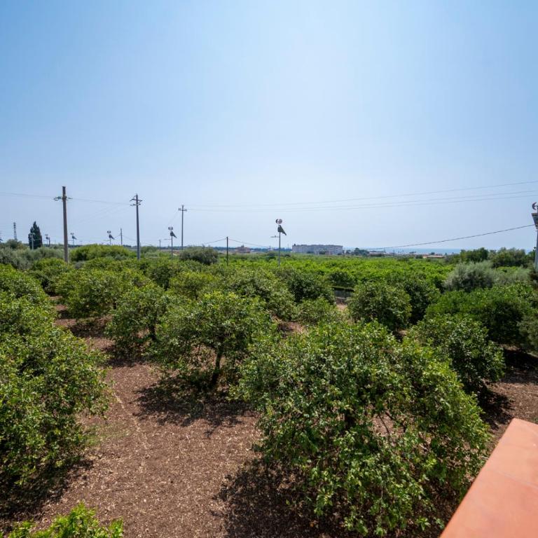 Il Limoneto di nonno Corrado - Casa con 3 Camere da Letto - 41
