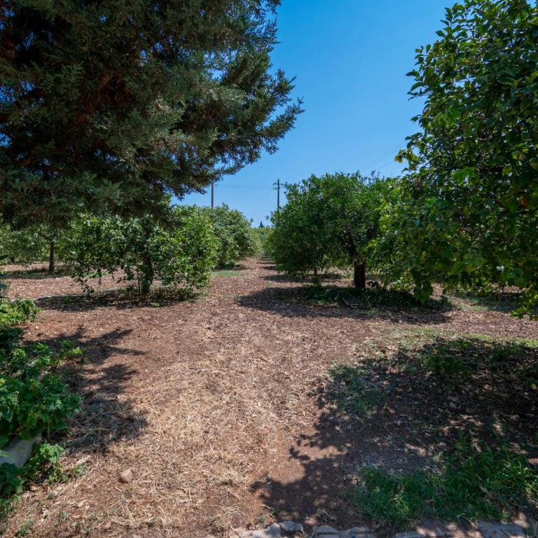 Il Limoneto di nonno Corrado - Casa con 3 Camere da Letto - 46