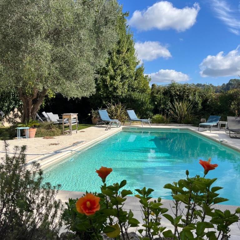 Charming Villa, Sunroof, big pool & olive trees - Villa - 3
