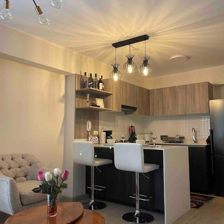 Nice Department Full Equip in Barranco - Gym, Pool - One-Bedroom Apartment - 42