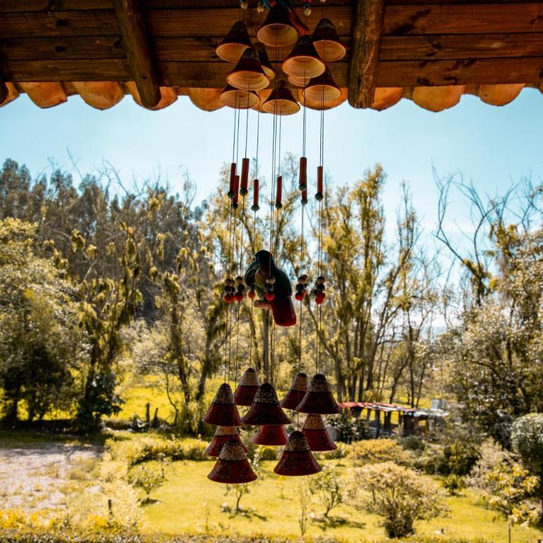 Hospedaje Villa Eucalyptus - Habitación Deluxe con 2 camas grandes - 5