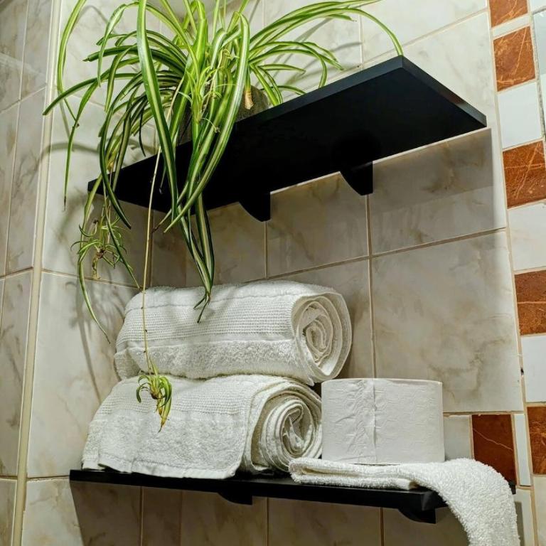 Cálido y acogedor departamento - Apartamento de 2 dormitorios - 11