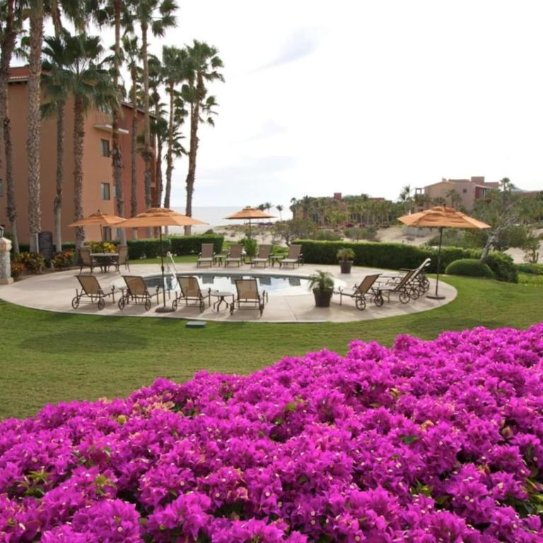 Gorgeous Casa del Mar Condo - Apartamento - 36