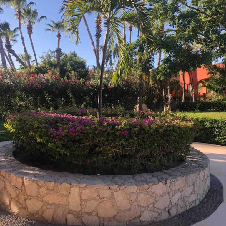 Gorgeous Casa del Mar Condo - Apartamento - 3