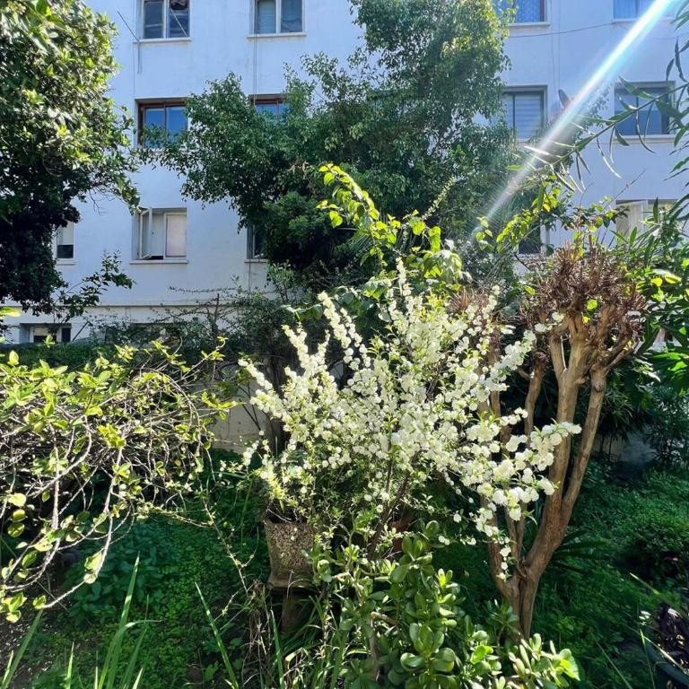 Quiet, comfortable, central, connected and beauty - Three-Bedroom Apartment - 25