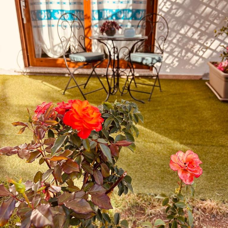 Casa Tholos Charme and Relax - Monolocale - 33