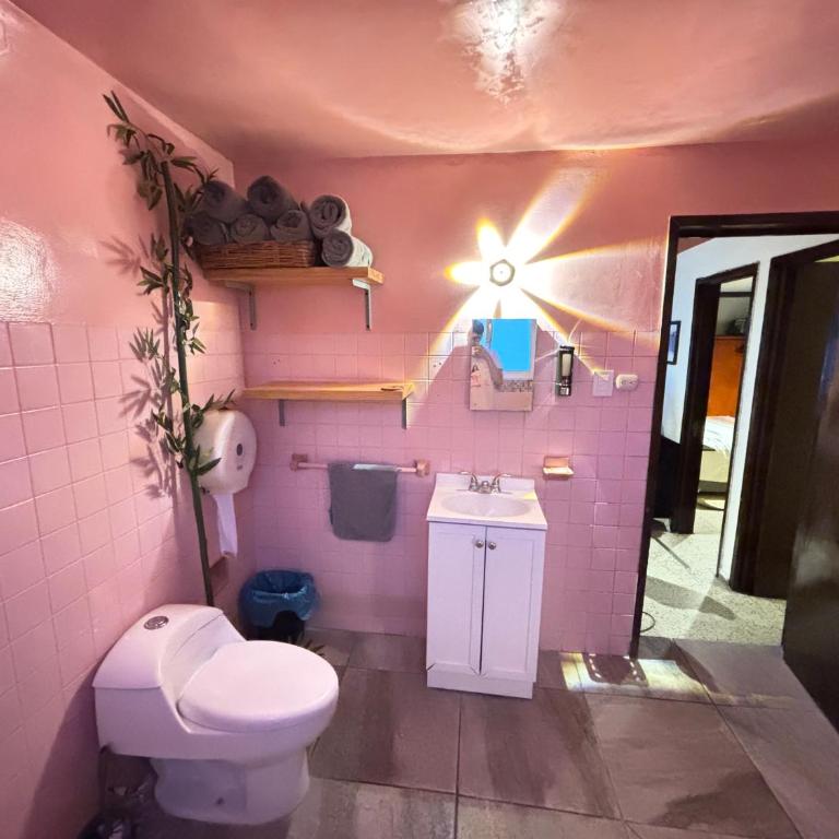 Departamento en el centro de Oaxaca - Apartamento de 4 habitaciones - 10