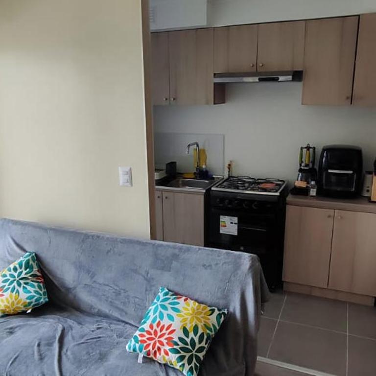 Depto Completamente Nuevo con 2 Estacionamientos - One-Bedroom Apartment - 14