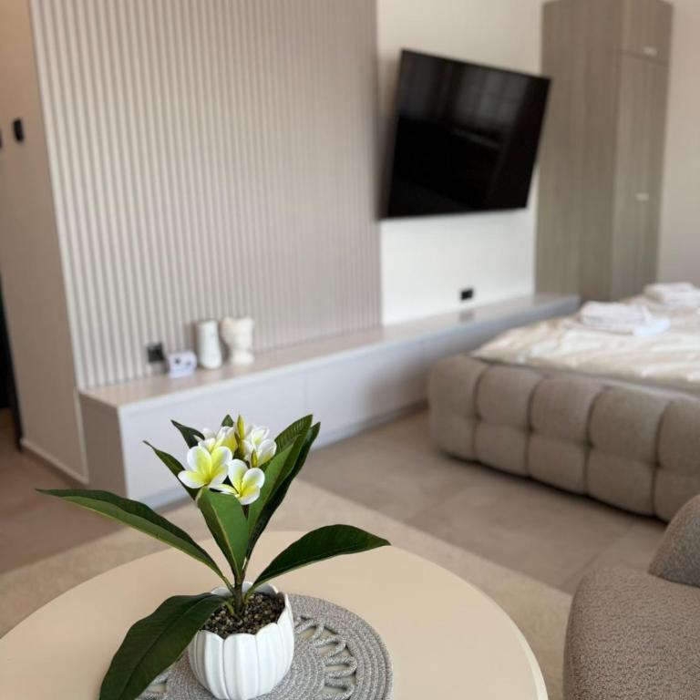 Raj - One-Bedroom Apartment - 6