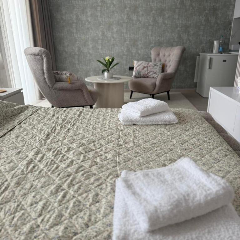 Raj - One-Bedroom Apartment - 7