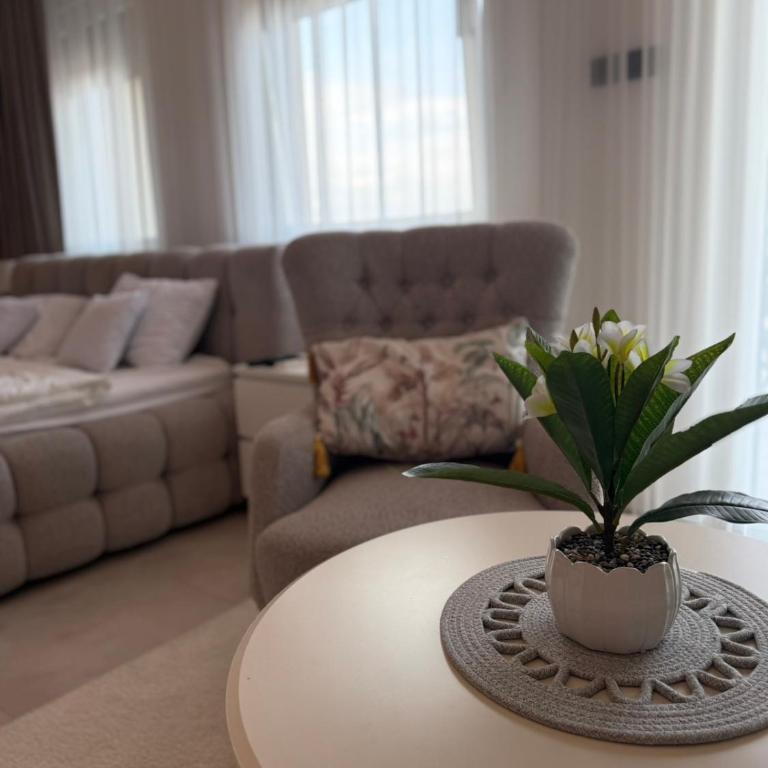Raj - One-Bedroom Apartment - 9