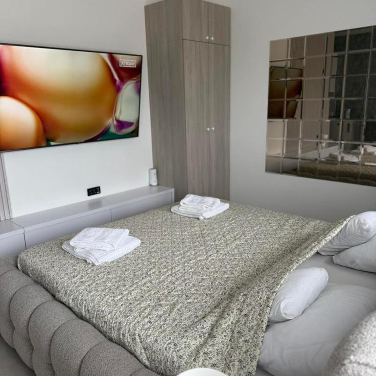 Raj - One-Bedroom Apartment - 11