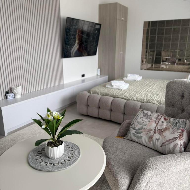 Raj - One-Bedroom Apartment - 25