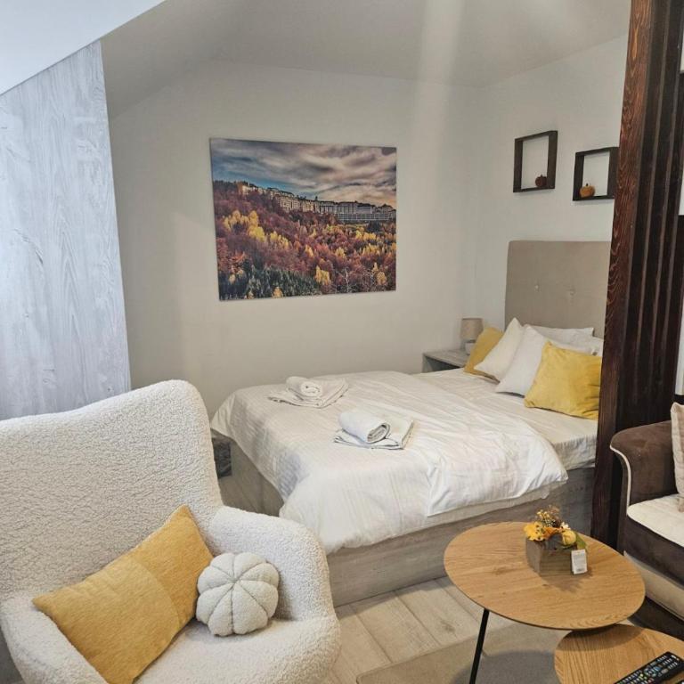 KOP P95 Milmari - Studio Apartment - 2
