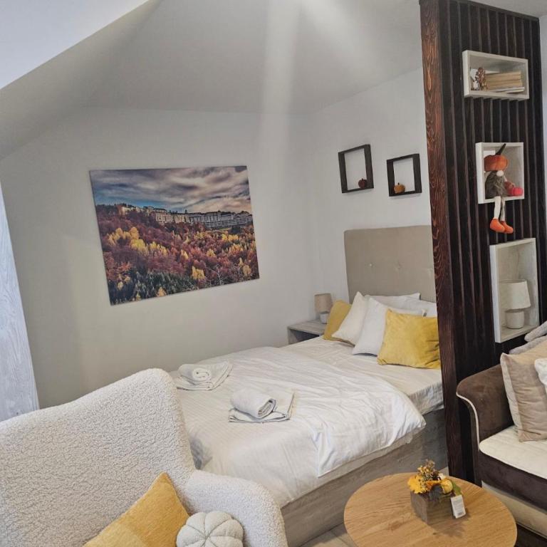 KOP P95 Milmari - Studio Apartman - 3