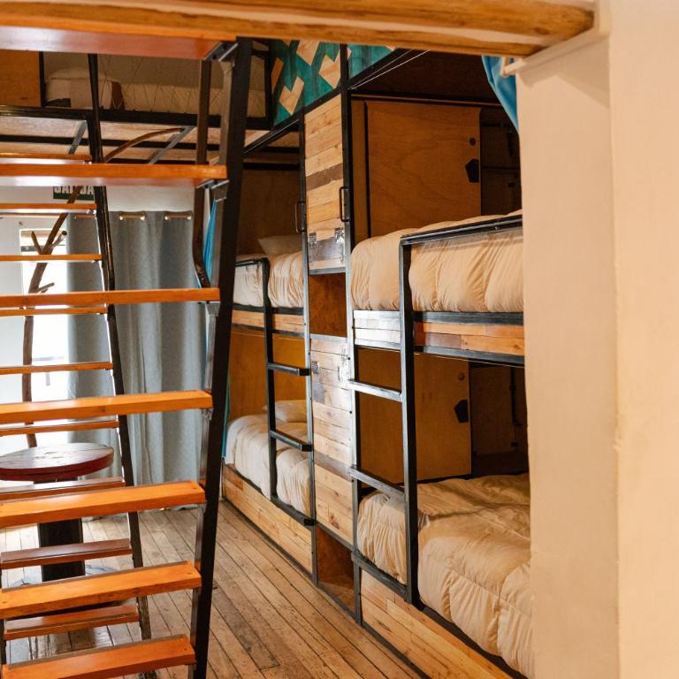 Supertramp Hostel Cusco - Cama en habitación compartida mixta de 8 camas (Habitación Azul) - 5