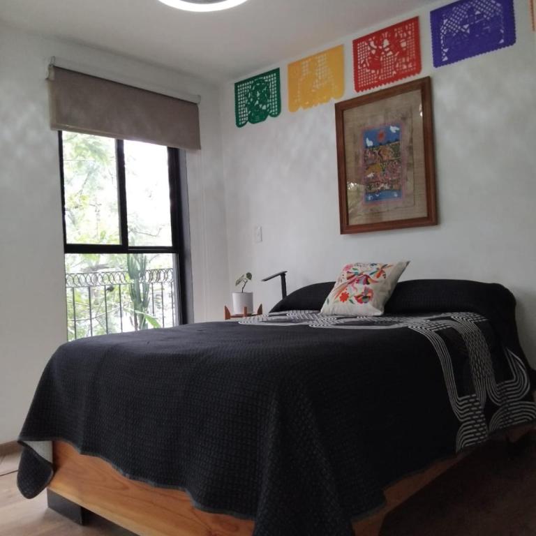 Colorido, vibrante y vistas parque en corazón CDMX - Apartamento de 2 dormitorios - 24