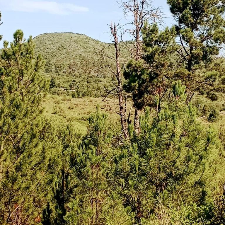 Terrazas del Pinar, Loft con pileta exclusiva en bosque serrano - Chalet de 1 dormitorio - 20