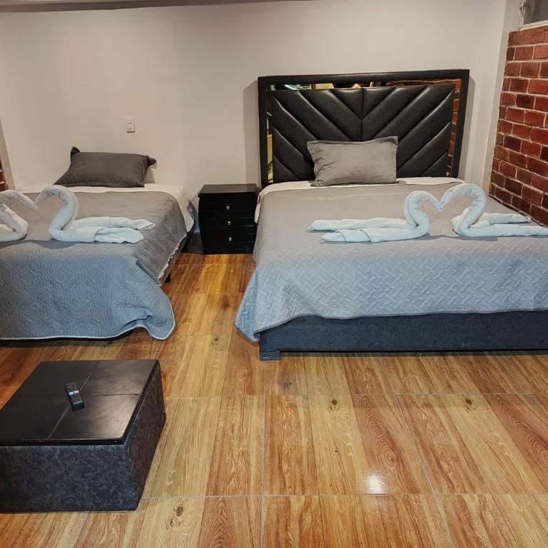Finca la Rosita - One-Bedroom Apartment - 2