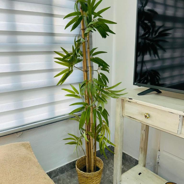Encantador monoambiente con parque - Apartamento de 1 dormitorio - 14