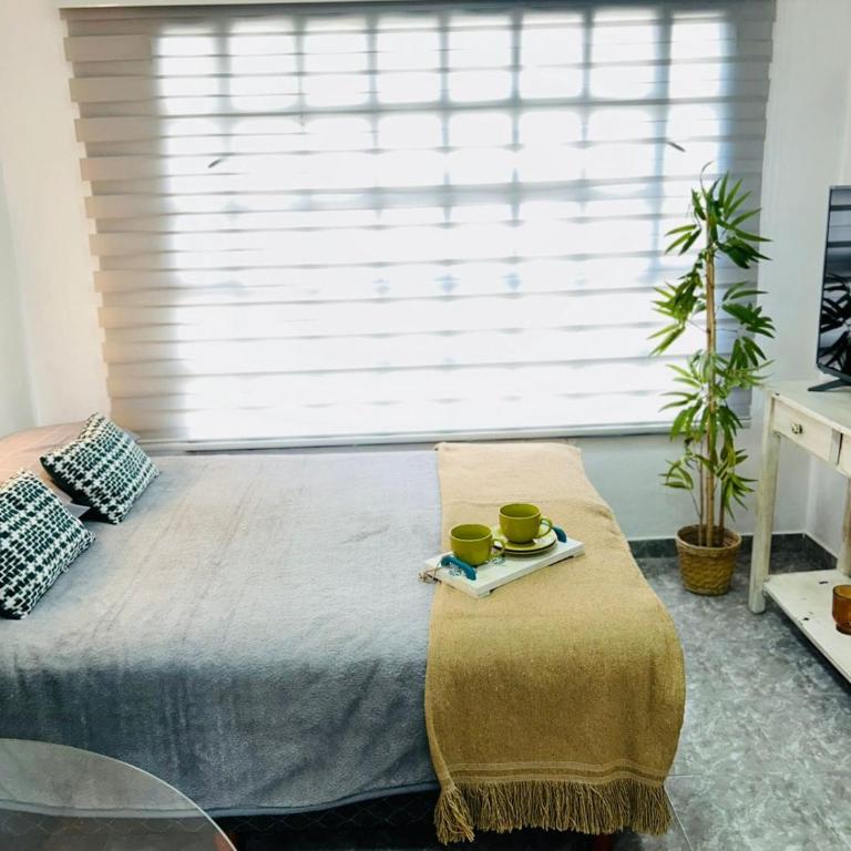 Encantador monoambiente con parque - Apartamento de 1 dormitorio - 19