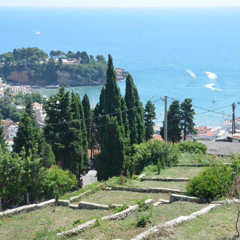 Apartment Djakonovic Mladen - Apartment with Sea View - 61