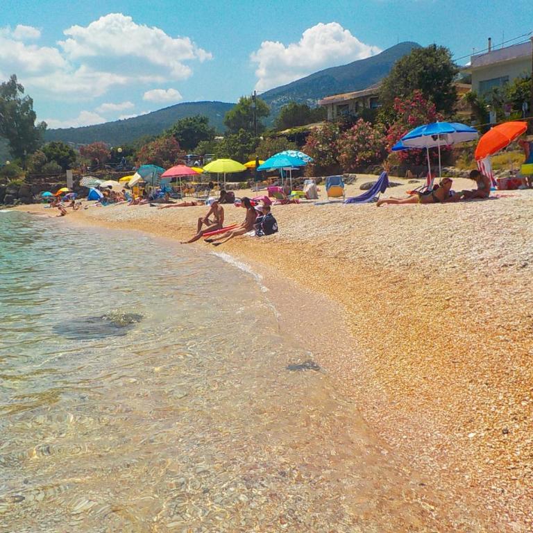 Appartamento Palmasera - Casa Vacanze - 3