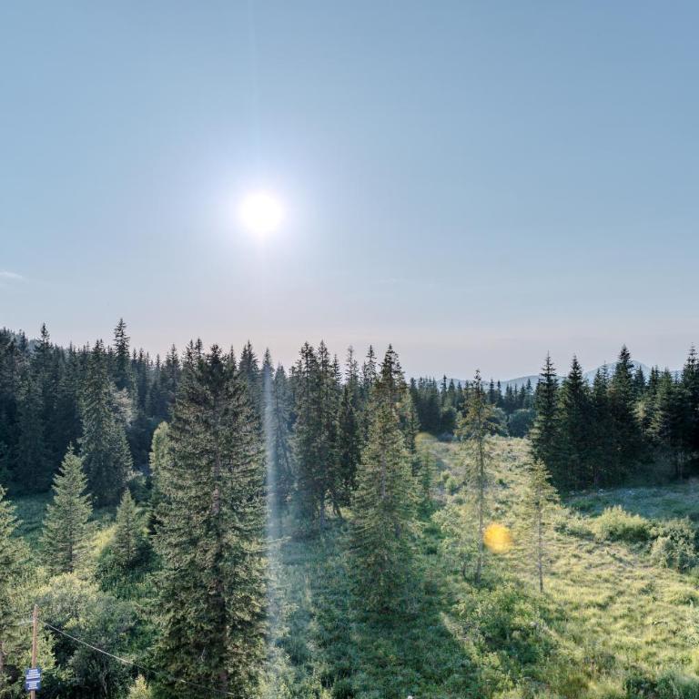 FORESTA Apartment Jahorina - One-Bedroom Apartment - 18
