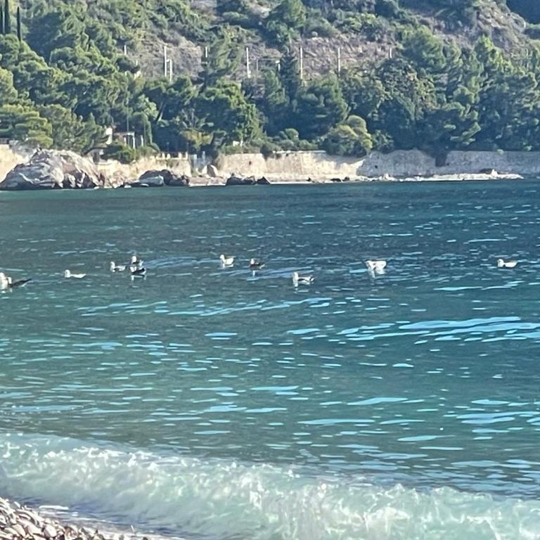 Ezevacances Studio Capuccino vue mer 5 mn plage 7 mn gare Wifi - Studio with Sea View - 42