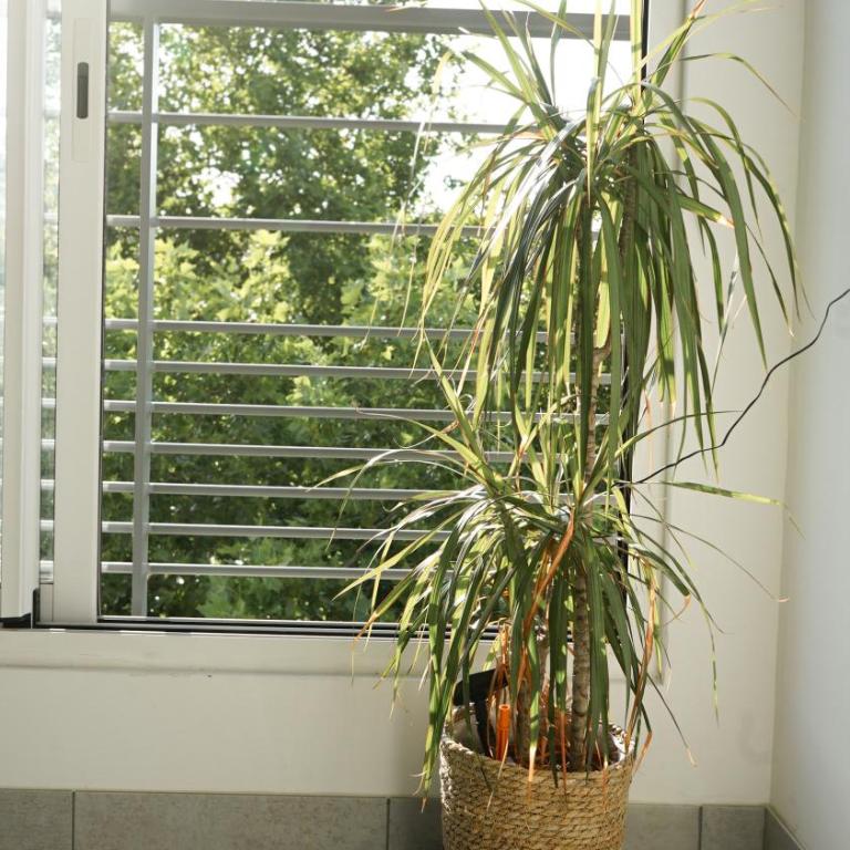 Le Standing, hyper centre T2 - Appartement 1 Chambre - 20