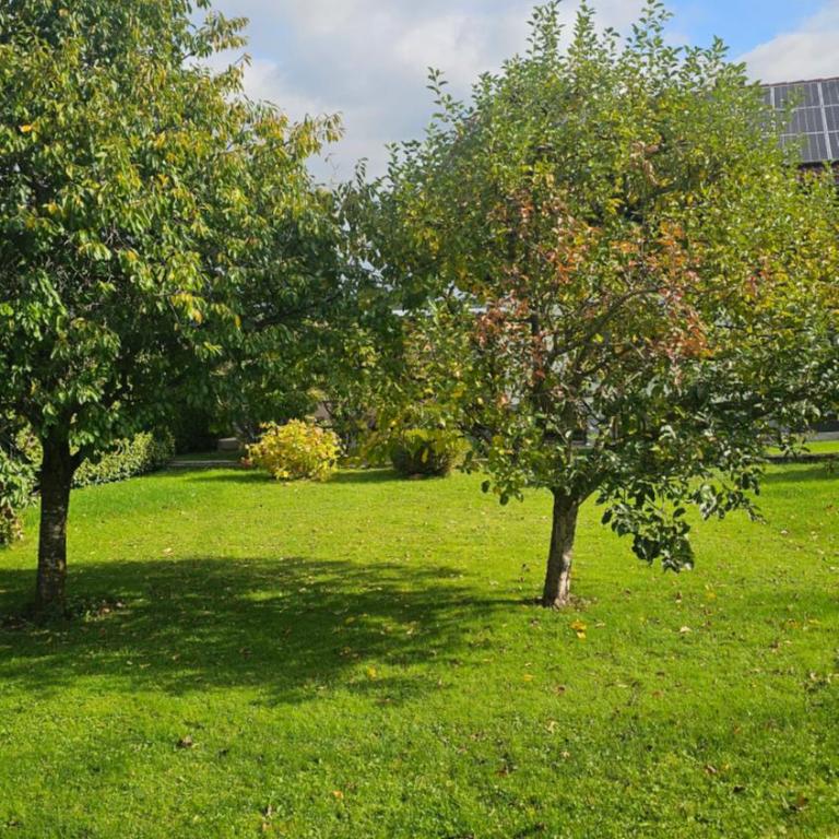 Ferienhaus - Hoamathaus - Haus mit 3 Schlafzimmern - 6