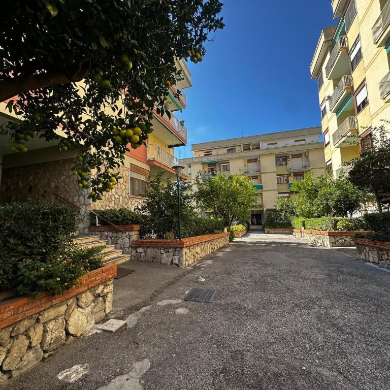 Exclusive Large 3 bed room Apartment with Pool Central Sorrento - Three-Bedroom Apartment - 20