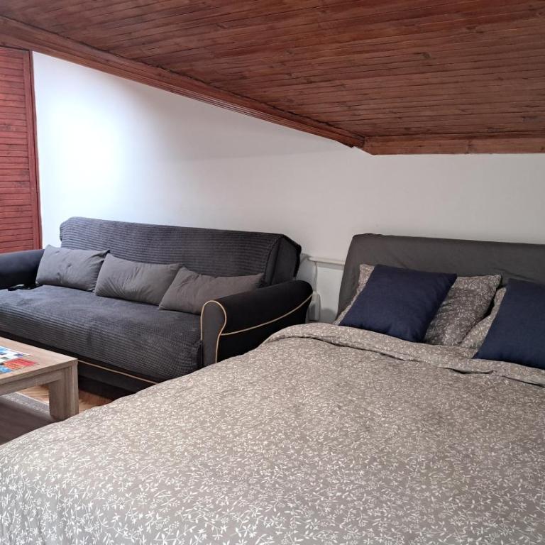 Stan na dan centar - Classic One-Bedroom Apartment with King Bed - 4
