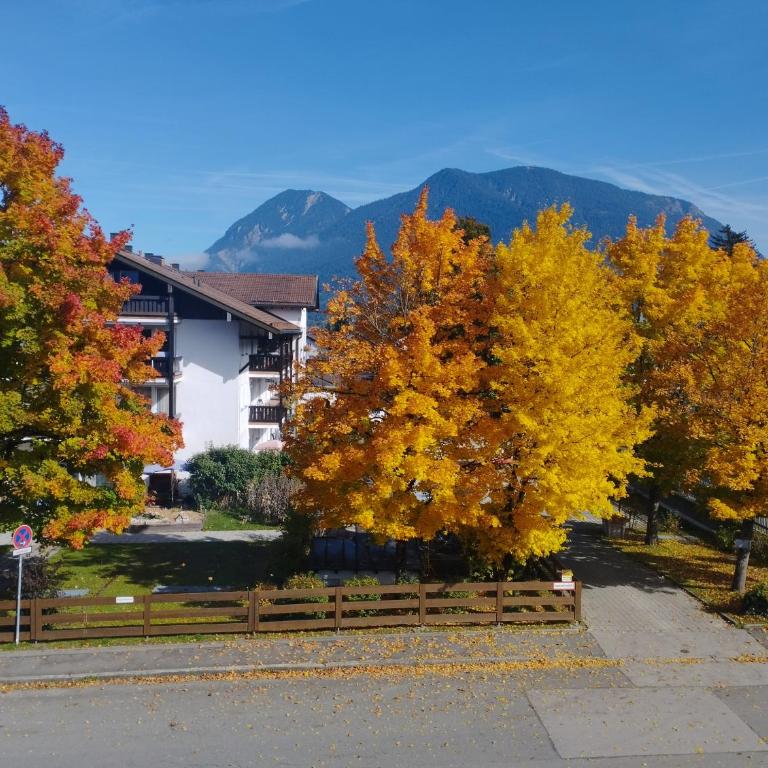Ferienwohnung Osterfeld - Apartamento de 1 dormitorio - 12