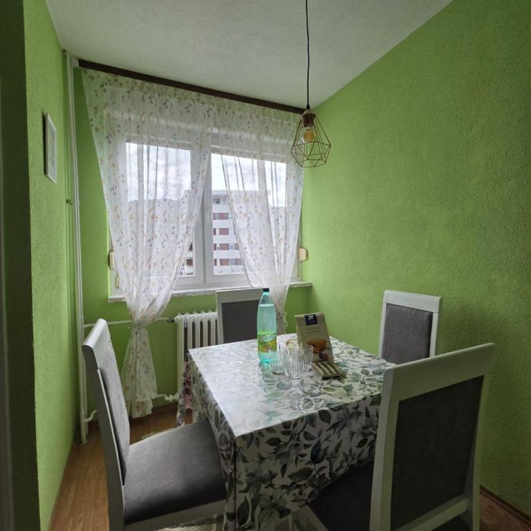 Na korak do Vrbasa - blizu centra - Apartman sa 1 Spavaćom Sobom - 8