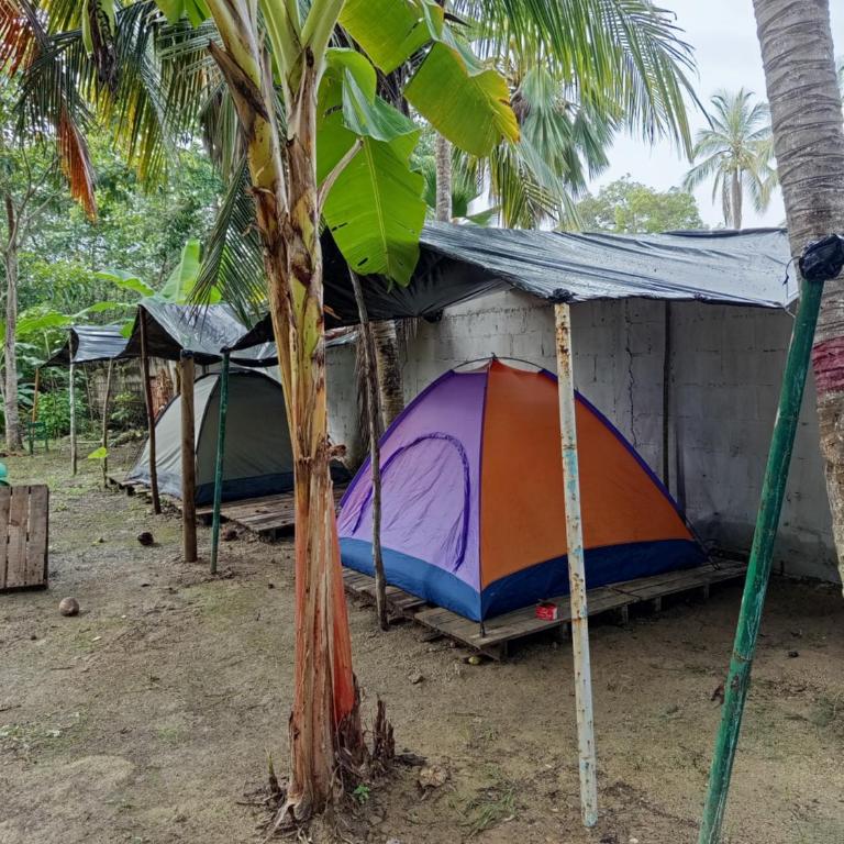 Cabañas y zona de camping Elis Johana - Tienda - 1