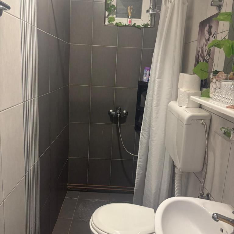 Bohemian Rhapsody low ground studio - One-Bedroom Apartment - 5