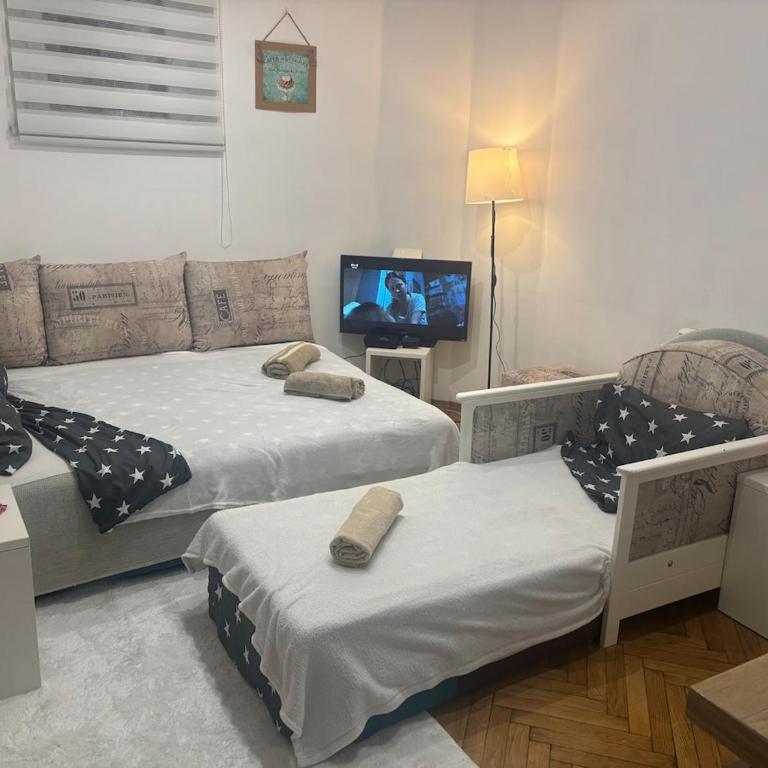 Bohemian Rhapsody low ground studio - One-Bedroom Apartment - 8