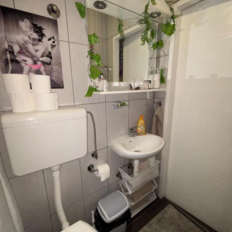 Bohemian Rhapsody low ground studio - One-Bedroom Apartment - 11