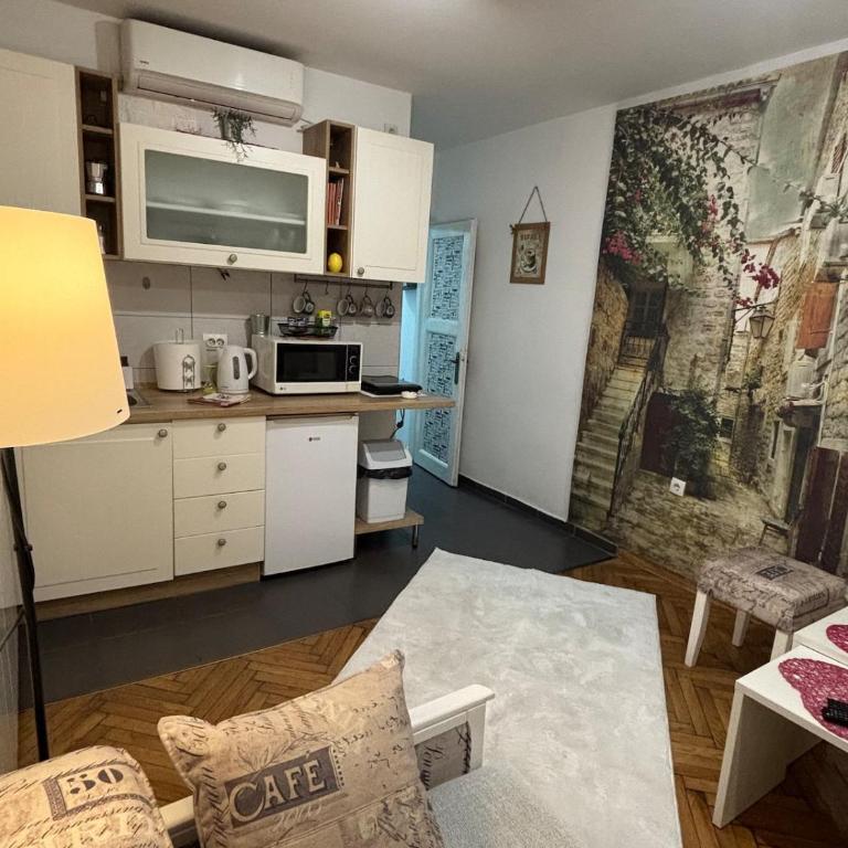 Bohemian Rhapsody low ground studio - One-Bedroom Apartment - 12