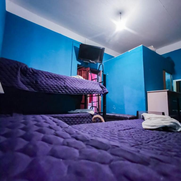 Departamentos los Abuelos - Apartamento de 1 dormitorio - 4