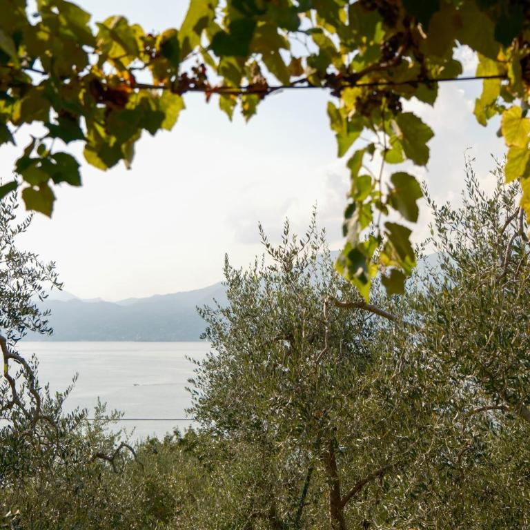 Welcome traveller Benaco Chalet - Appartement 1 Chambre - 8