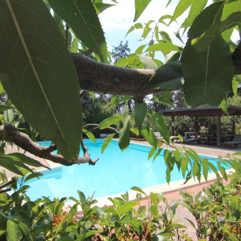 VILLASEASICILY , POOL SALT WATER and NATURAL CHLORINE IN BALESTRATE - PALERMO - Villa con 1 Camera da Letto - 10