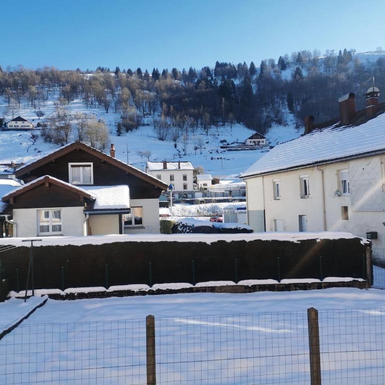 Appartement nid douillet 3 étoiles au centre ville de la Bresse - Two-Bedroom Apartment - 11
