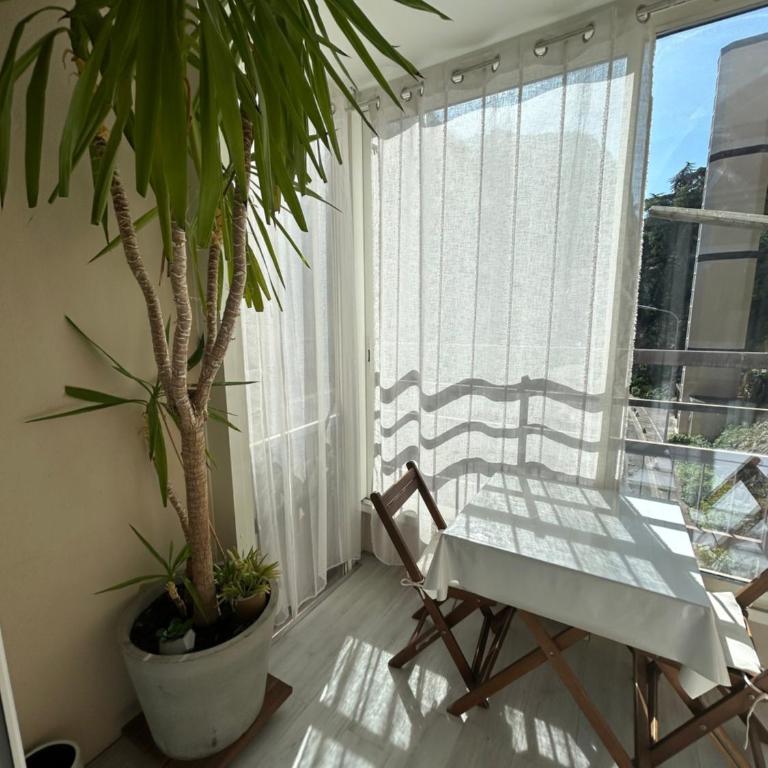 Appartement T2 tout confort Amélie-les-Bains - Appartement 1 Chambre - 4