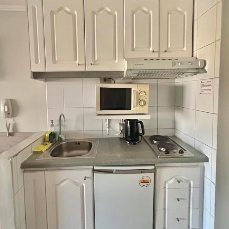 Metro Pedro de Valdivia, Providencia, Departamento - One-Bedroom Apartment - 13