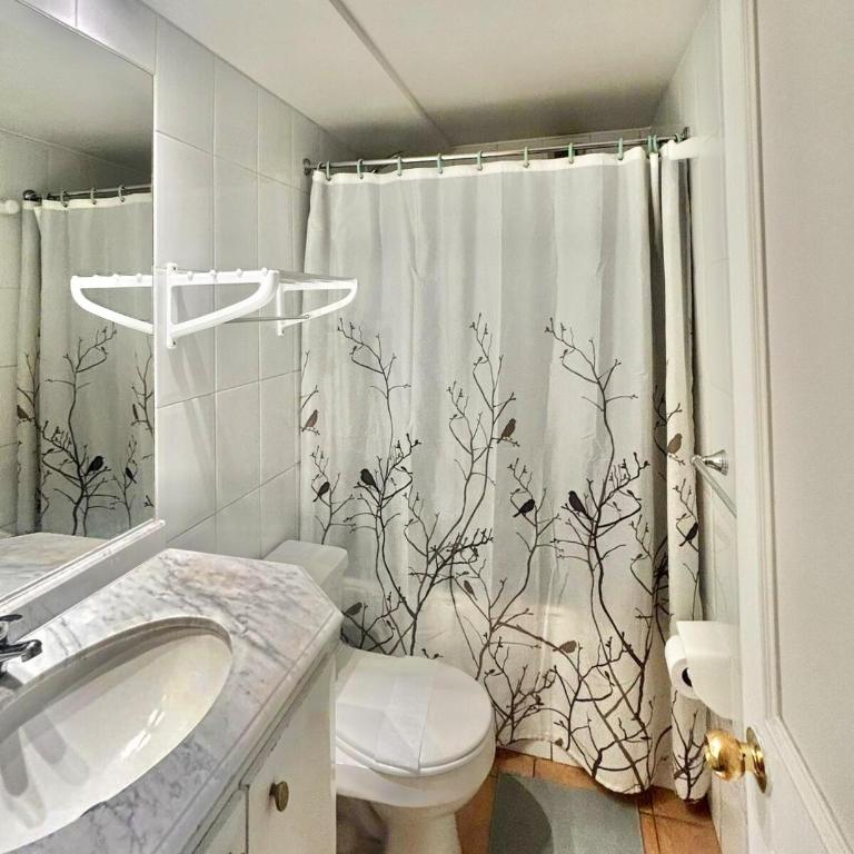 Metro Pedro de Valdivia, Providencia, Departamento - One-Bedroom Apartment - 6