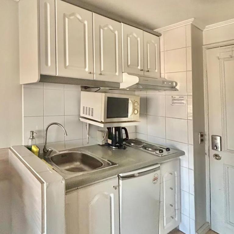 Metro Pedro de Valdivia, Providencia, Departamento - One-Bedroom Apartment - 4